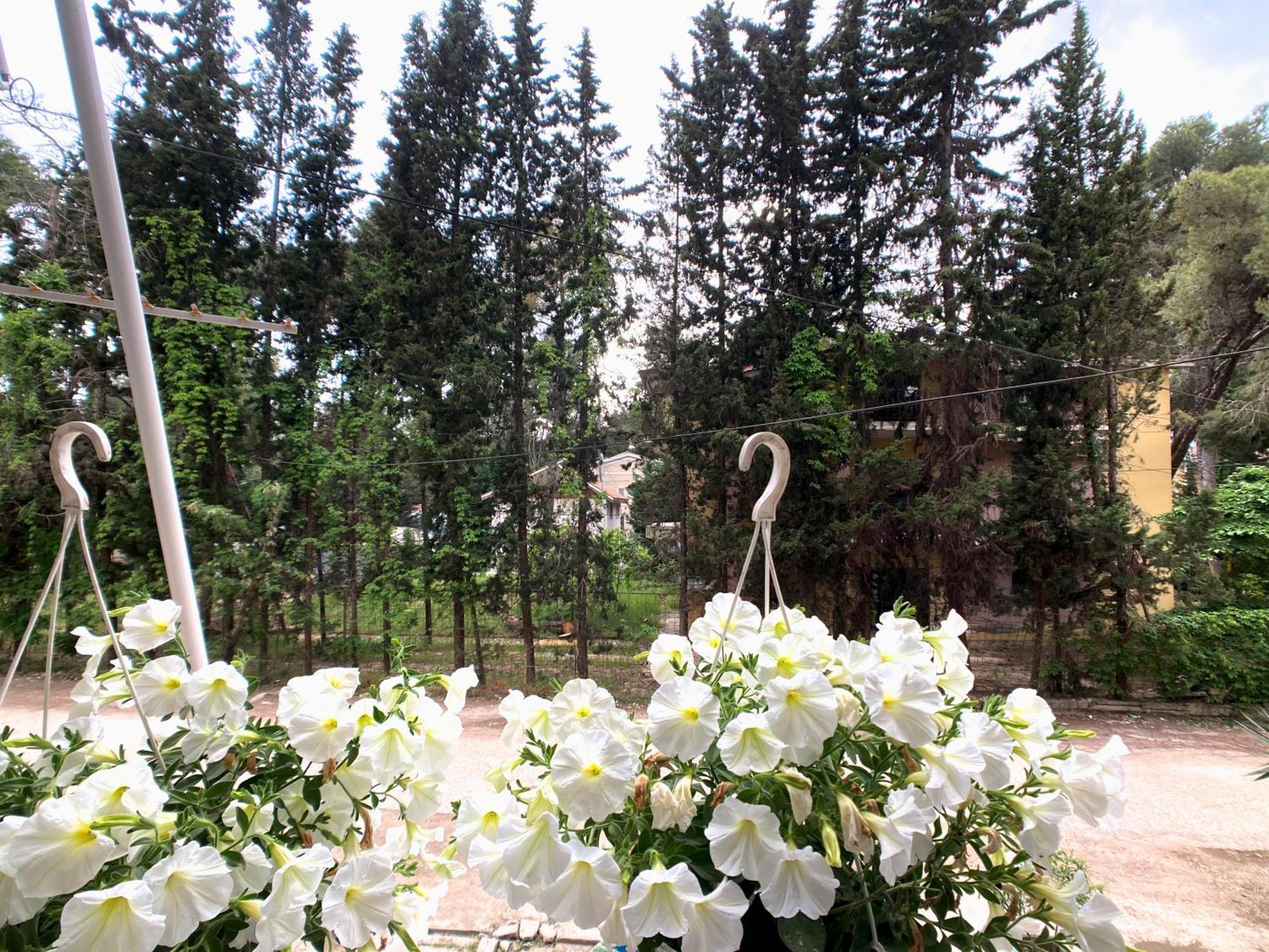 Luna Blanca - 1 Minute From The Beach Apartament Golem (Tirana)
